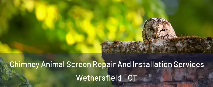  Chimney Animal Screen Repair And Installation Services Wethersfield - CT