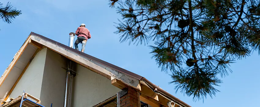 Birds Removal Contractors from Chimney in Wethersfield, CT