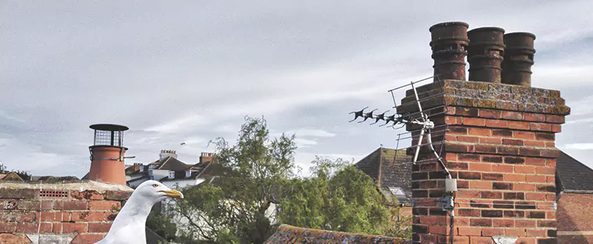 Chimney Cleaning And Restoration in Wethersfield, Connecticut